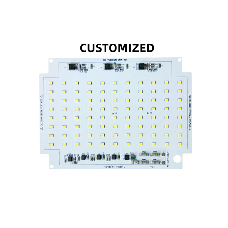 CE RoHS Certification Anti-Surge Class 20W 4KV 220V AC Driverless DOB LED Module for LED Floodlight
